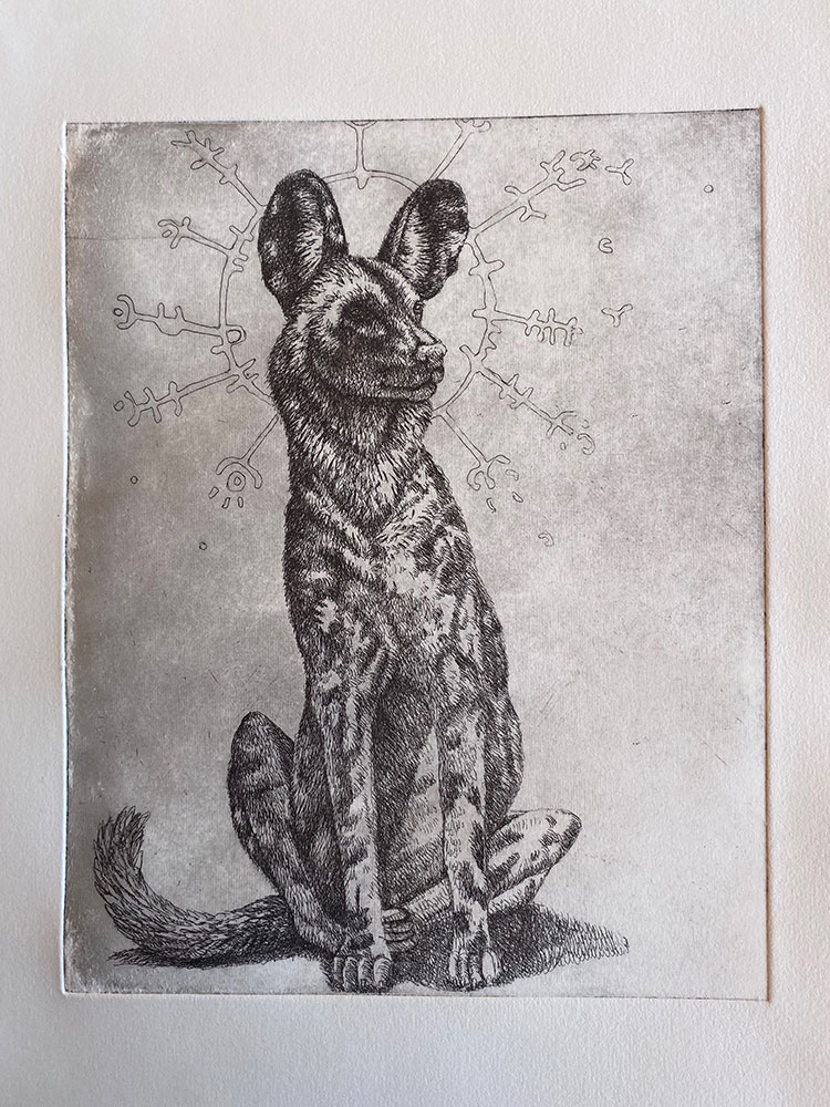 Radiant Wild Dog
