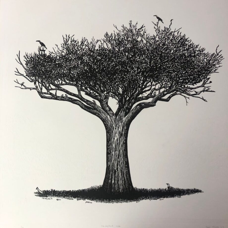 Tree Series - Shepherd Tree