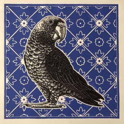 Delft Series - Cape Parrot
