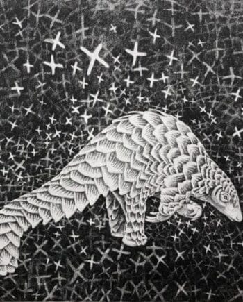 Pangolin Dreamtime
