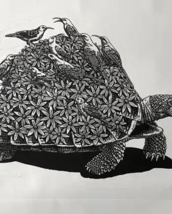 Tortoise, Sunbirds and Daisies - State 2